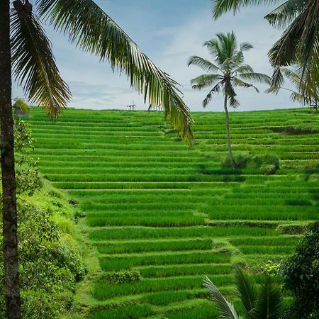 Be Bali Stay Ubud Exteriér fotografie