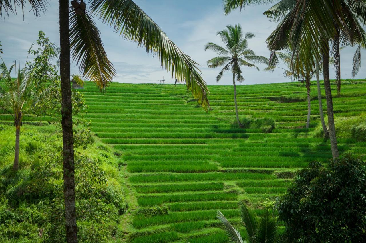Be Bali Stay Ubud Exteriér fotografie