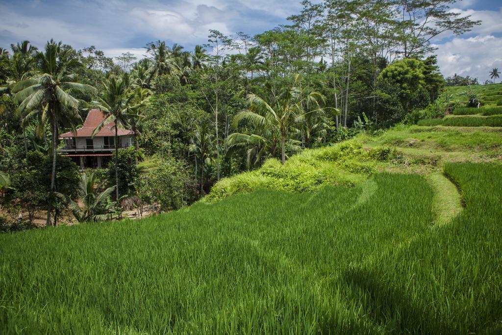 Be Bali Stay Ubud Exteriér fotografie